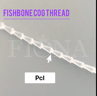 表面点検のためのPDO PCLの魚の骨の鋳造物のコグの糸は持ち上げを武装させる